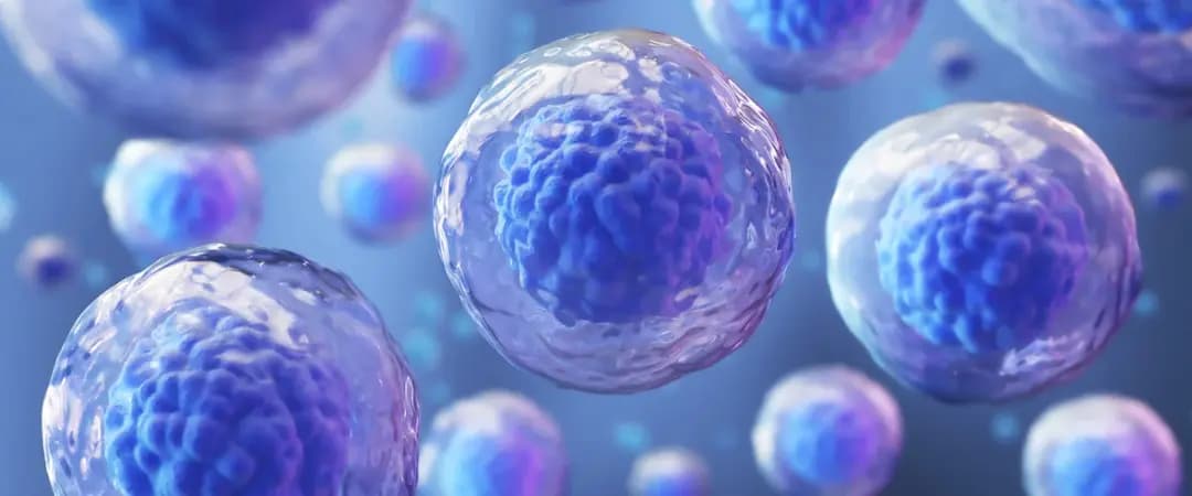 Stylised illustration of cells suspended in fluid, representing the cellular content of the micrograft suspension.